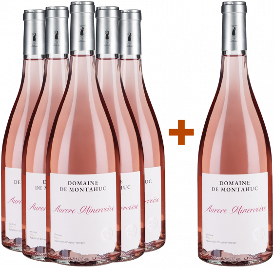 5+1 Paket Rosé 2023 Bio - Domaine de Montahuc