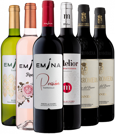 Kennenlernpaket Grupo Matarromera - Bodegas Familiares Matarromera