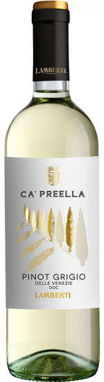 2024 Ca' Preella Pinot Grigio Delle Venezie DOC trocken - Travino Special Gruppo Italiano Vini