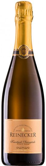 2021 „Feuerbach Steingässle“ Pinot Noir extra brut - Privat-Sektkellerei Reinecker