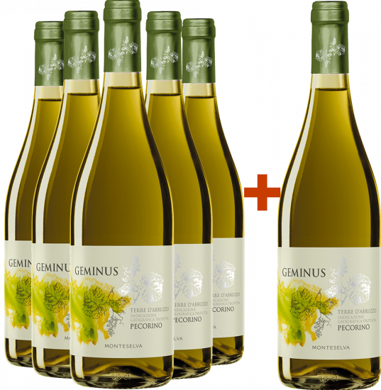 5+1 Paket Geminus Pecorino Terre d'Abruzzo IGP - Monteselva