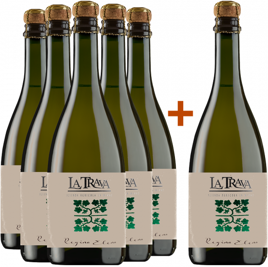 5+1 Campo dei fiori - La Trava