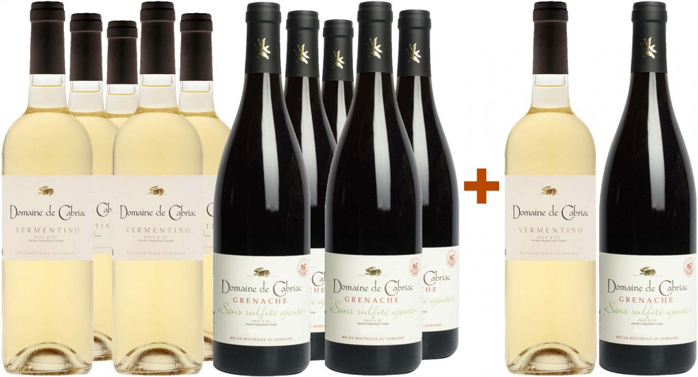 Domaine de Cabriac Weihnachts-Paket II - Domaine de Cabriac