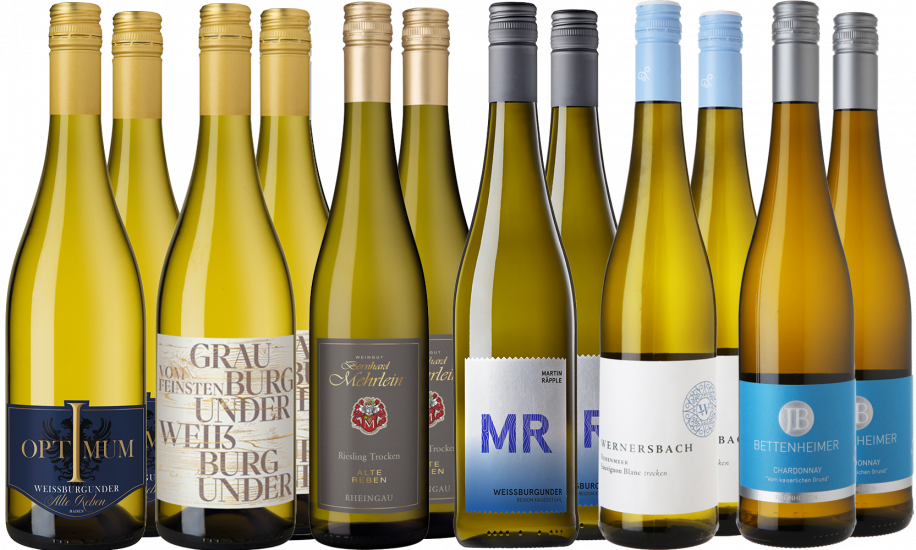 Großes Letzte Flaschen-Paket 