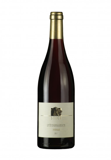 2018 Centgrafenberg Spätburgunder RESERVE trocken - Weingut Stich