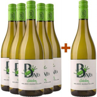 5+1 Gelber Muskateller halbtrocken Bio - Weingut Baier
