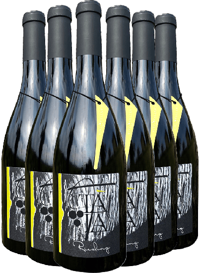 Riesling Oltrepò Pavese DOC Paket - Cantina Taia