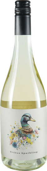 Sparkling Tribus trocken Bio - Weingut Baier