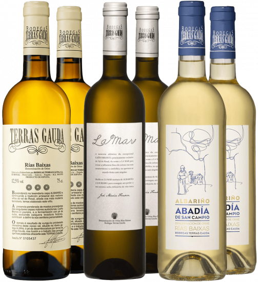 Kennenlernpaket Terras Gauda Rías Baixas DO - Terras Gauda