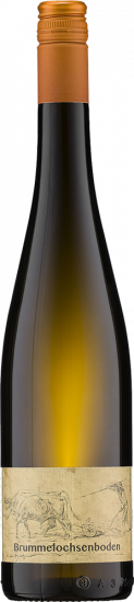 2025 Riesling vom Brummelsochsenboden trocken - Weingut Boxheimerhof