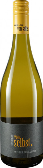 2023 von selbst. Weißer Burgunder Magnum 1,5 L - Winzerhof Burrlein