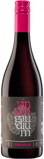 2020 Schwarzriesling trocken - Hofgut Hemmes