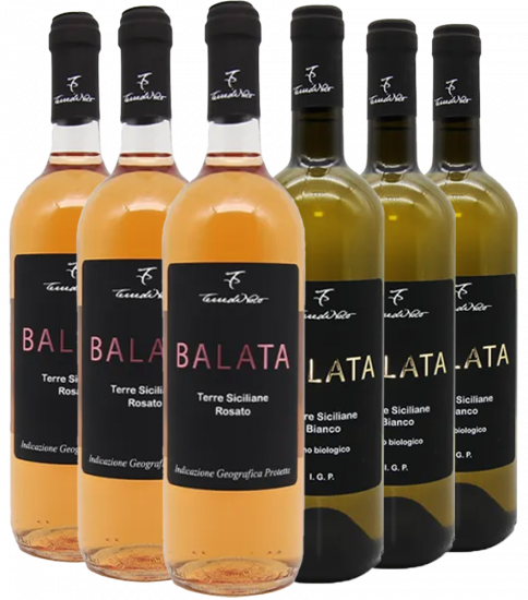 Terre di Noto Kennenlern-Paket Bio - Terre di Noto