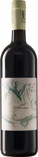 2019 Fuflus Vallagarina IGP Bio - Travino Special Valsugana