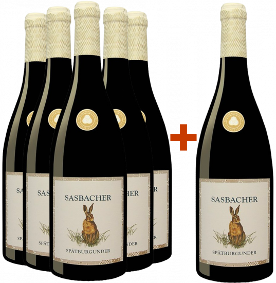 5+1 Paket Rote Halde Spätburgunder Jäger-Wein - Sasbacher Winzerkeller