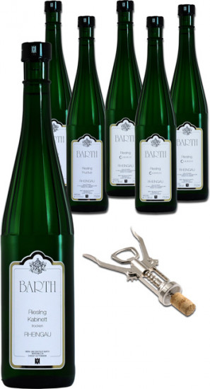 Barth Riesling Extrem - Wein- und Sektgut Barth