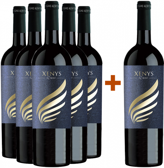 5+1 Paket Xenys 12 Meses Jumilla DO Bio - Viñedos y Bodegas Xenysel