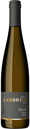 2024 Riesling Alte Reben trocken - Weingut Albert Lambrich