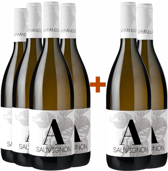 4+2 Paket Sauvignon Friuli Isonzo DOC - Amandum