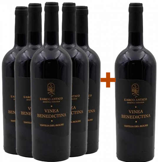 5+1 Paket Vinea Benedictina Tintilia del Molise DOC - L'Arco Antico
