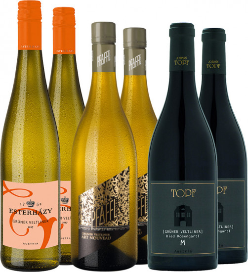Österreich Weißwein Entdecker Paket 