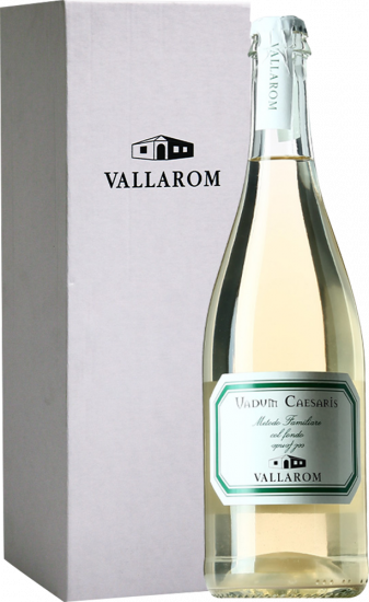 2022 Vadum Caesaris Vigneti delle Dolomiti IGP Bio 1,5 L - Travino Special Valsugana