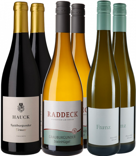 Rheinhessen Verkostungs-Paket 