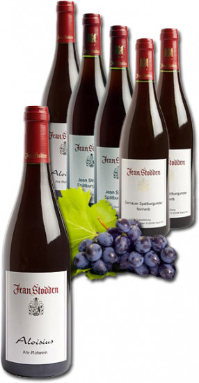 Rotwein Extra Probierpaket - Weingut Jean Stodden
