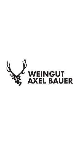 2017 Axel Rosé trocken - Weingut Axel Bauer