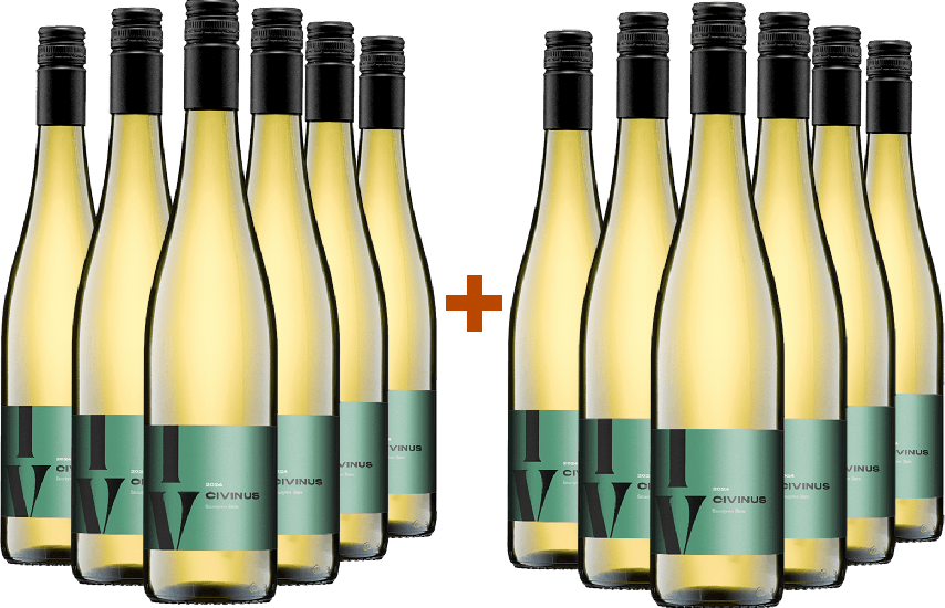 6+6 Paket Civinus Sauvignon Blanc Bio - Weingut Franz