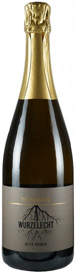 2020 Wurzelecht Rosé Sekt brut nature - Weingut Acker - Martinushof