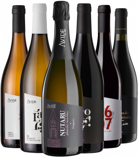 Avide - Vigneti & Cantine Kennenlern-Paket - Avide - Vigneti & Cantine