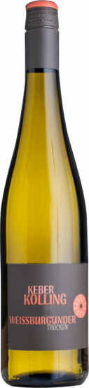 2023 Weißburgunder trocken Bio - Weingut Keber Kolling