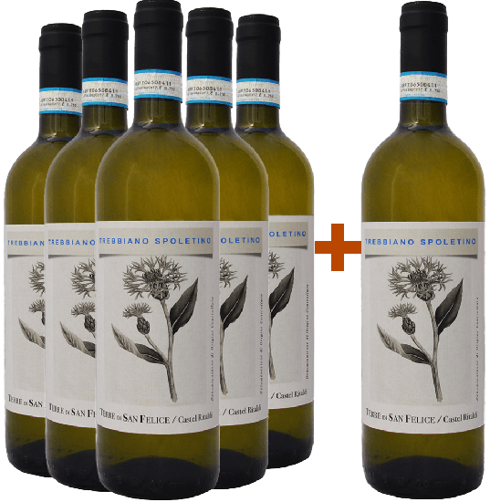 5+1 Paket Tebbiano Spoletino Spoleto DOC - Terre di San Felice