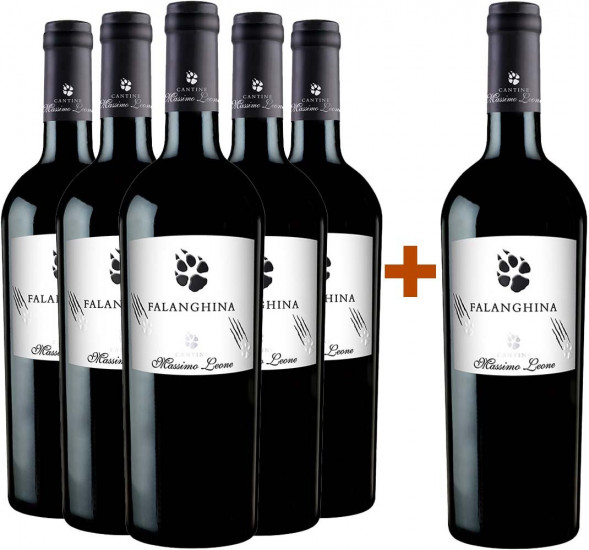 5+1 Paket Falanghina Puglia IGP - Cantine Massimo Leone