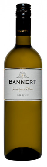 2022 Sauvignon Blanc, Ried Geyern trocken - Weingut Bannert