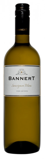 2023 Sauvignon Blanc, Ried Geyern trocken - Weingut Bannert