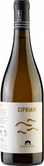 2024 Cipriano Marche IGP trocken Bio - Tenuta San Marcello