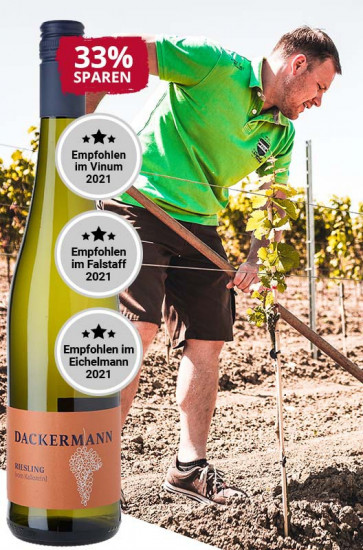 2023 Riesling vom Kalkstein trocken - Weingut Dackermann