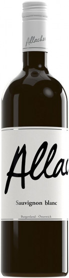 2023 Sauvignon Blanc trocken - Allacher Vinum Pannonia