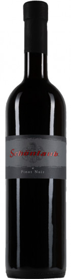 2020 Pinot Noir * trocken - Weingut Schönlaub