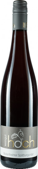 2021 Wallertheimer Blauer Spätburgunder Ortswein trocken Bio - Weingut Hoch
