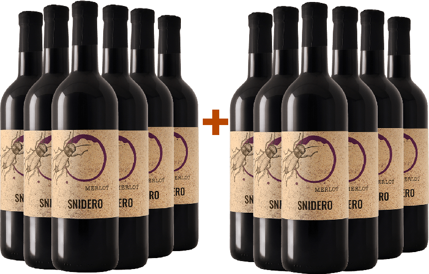 6+6 Paket Merlot Friuli Colli Orientali DOC Bio - Snidero Vini