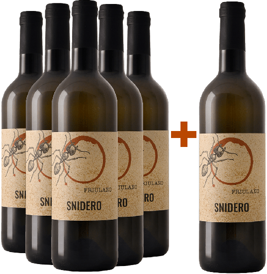 5+1 Paket Friulano Friuli Colli Orientali DOC Bio - Snidero Vini