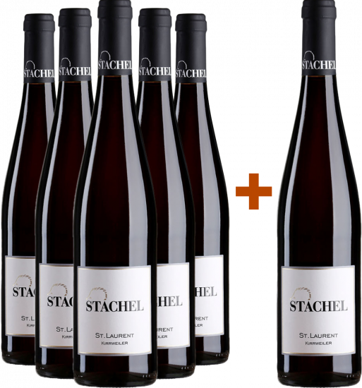 5+1 Paket Saint Laurent trocken - Weingut Erich Stachel