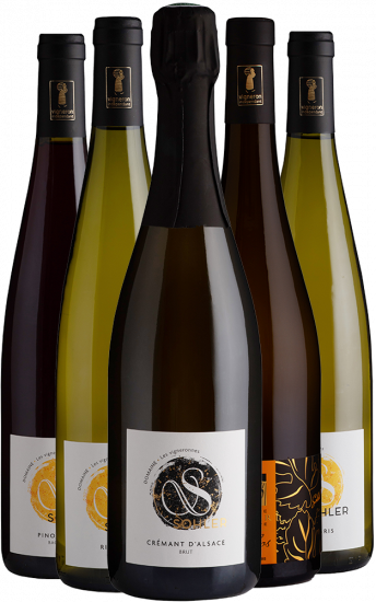 Kennenlern-Paket Domaine Sohler Les Vigneronnes Bio - Domaine Sohler Les Vigneronnes