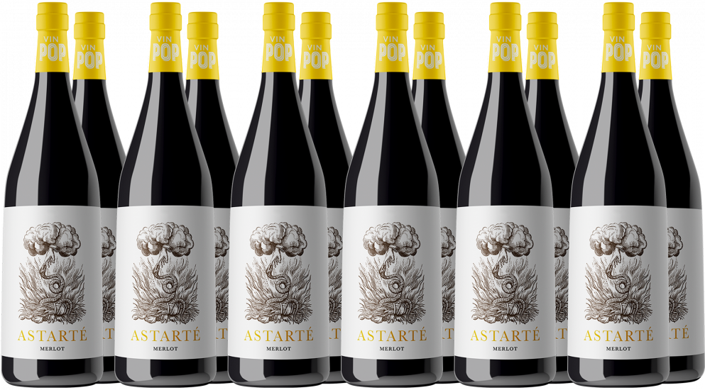 Paket Astarté Merlot - Vin POP