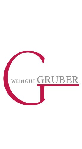 2018 Bodenheimer Regent trocken - Weingut Steffen Gruber