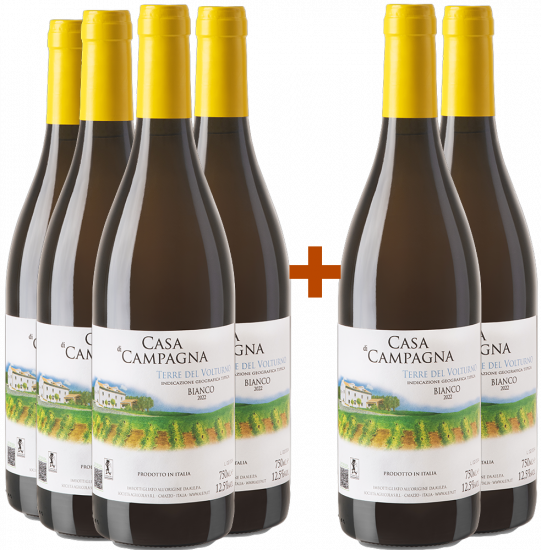 4+2 Paket Casa di Campagna Terre del Volturno IGP Bianco - Alepa