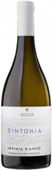 2024 Sintonia Irpinia DOC trocken - Vinosia